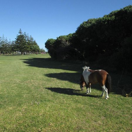 Monday Seaside Cottage Whanganui Exterior photo