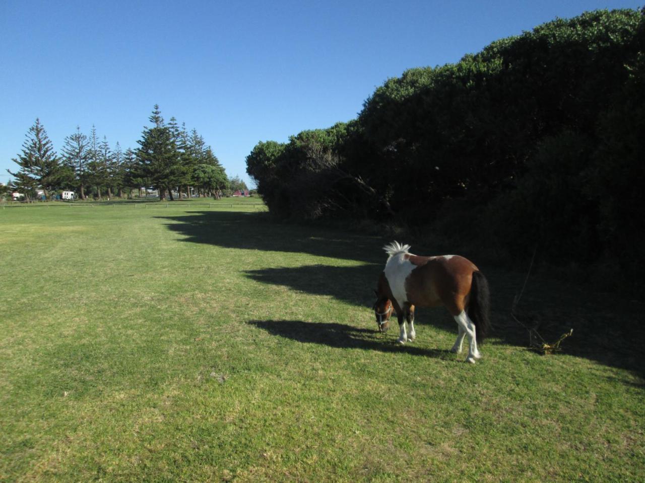 Monday Seaside Cottage Whanganui Exterior photo